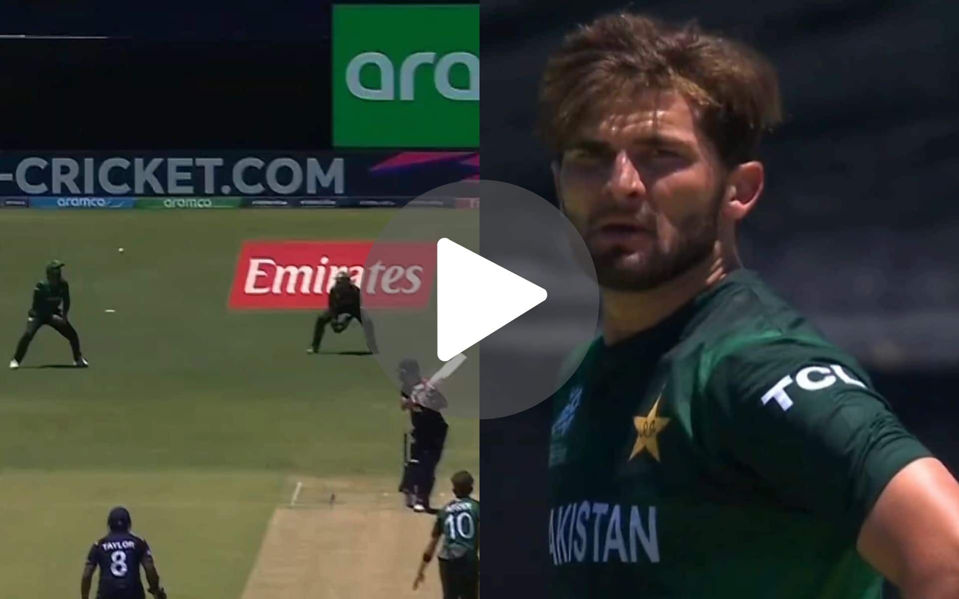 [Watch] Shaheen Afridi Gives Death Stare To 'Lazy' Iftikhar After Vintage Pakistan Fielding Blunder